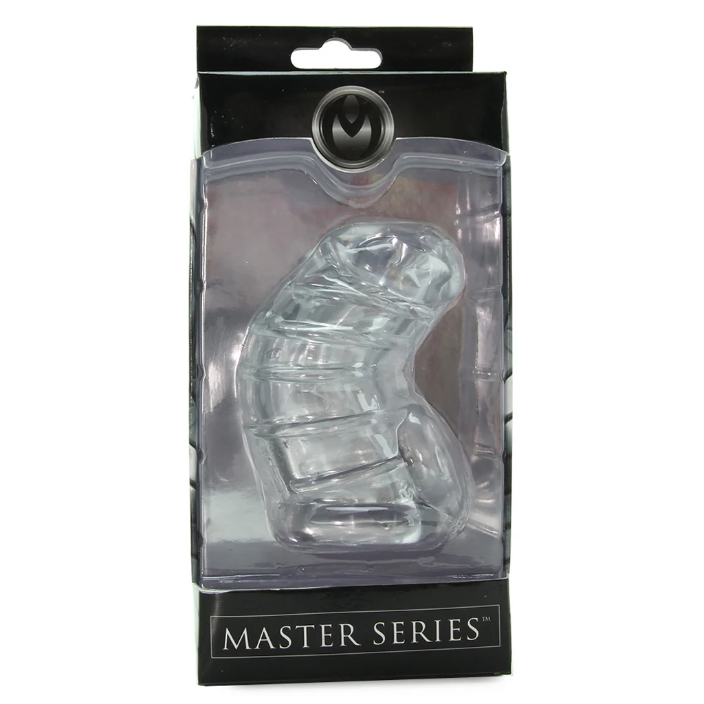 Detained Soft Body Chastity Cage - Image 6